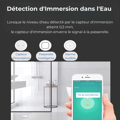 Capteur de Fuite d'Eau Intelligent